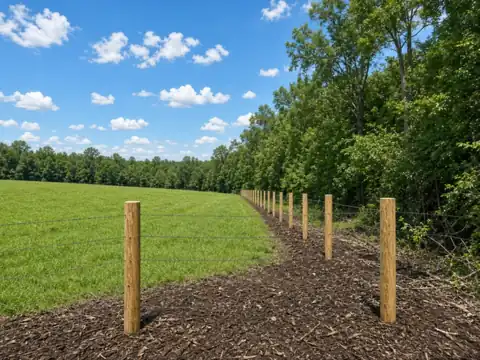 Newly cleared fence line with a mulched strip beside green pasture